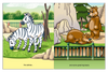 Zoo Adventure – Personalized Children’s Books